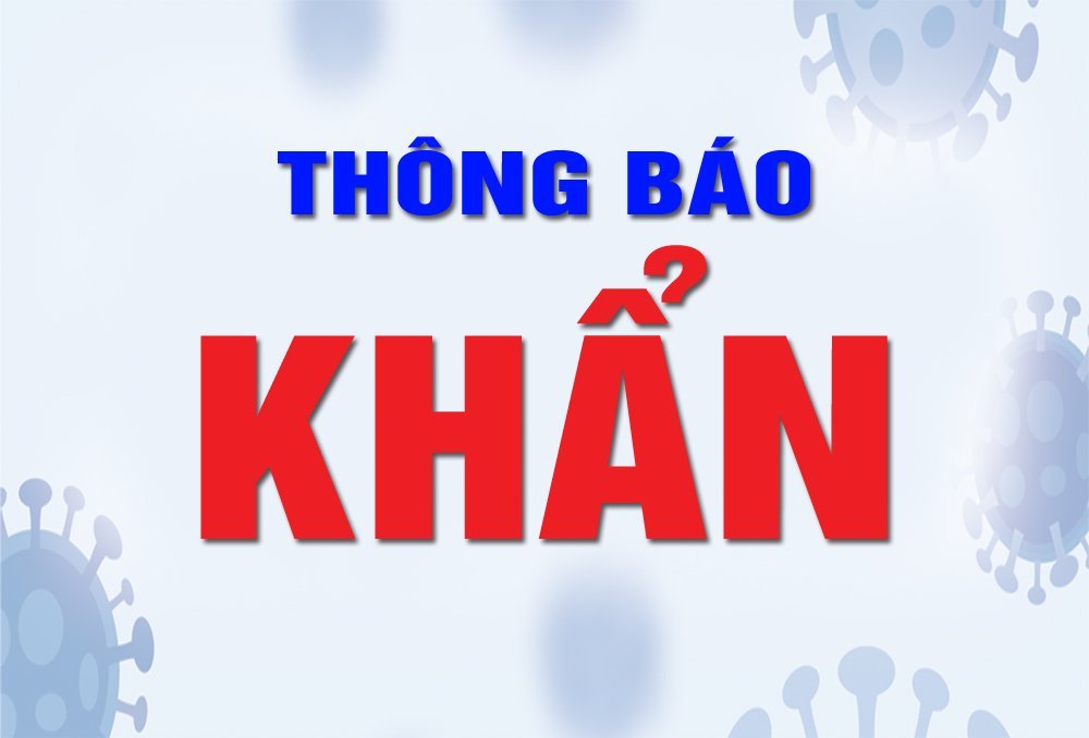 120 nam nganh xi mang nguoi vicem viet khuc trang ca